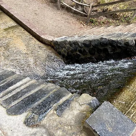 Vakantie Huis 26a Droomparken *